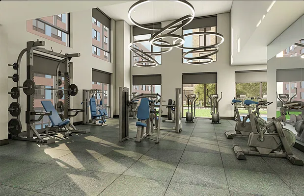 Rented by Douglas Elliman | media 5