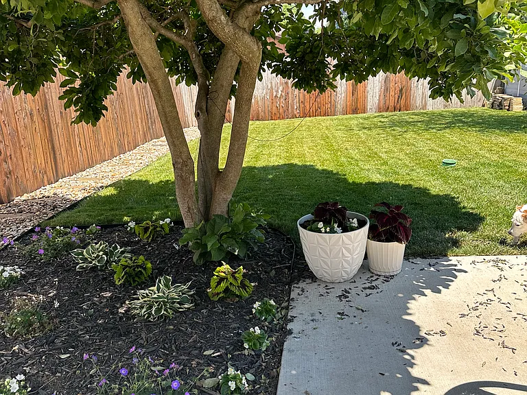 5605 Botanical Ave — Photo 15