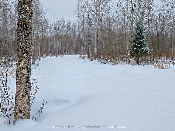 3rd image of 249 Hills Siding Rd