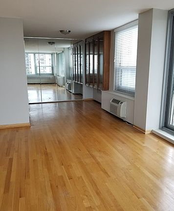 4th image of 1255 N Sandburg Ter #2411E