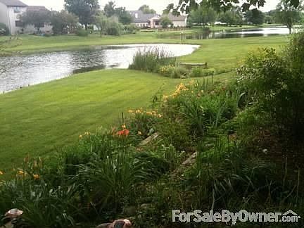 Beautiful Serene Backyard
						:
						This view from Sunroom and bedroom