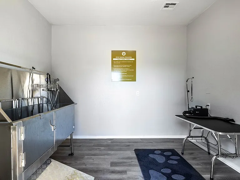 Dog Wash Station