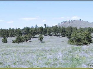 Red Mountain Rd, Livermore, CO 80536