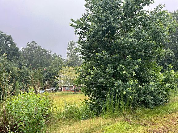 3rd image of 3420 Cook Rd