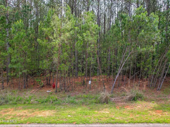 1054 Longleaf Way, Lincolnton, GA 30817