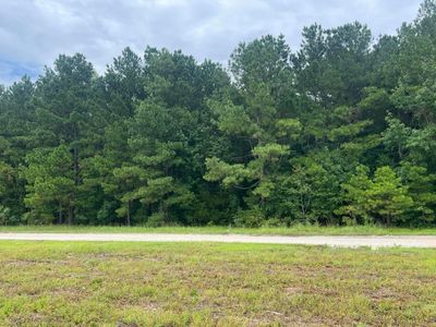 0 Herring Dr, Manning, SC, 29102