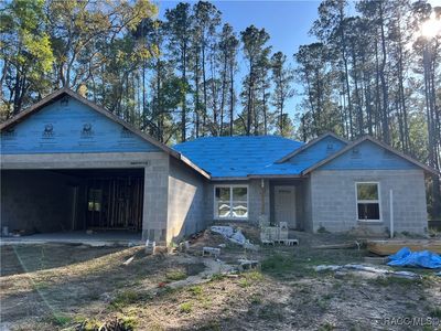 9962 N Athenia Dr, Citrus Springs, FL, 34434