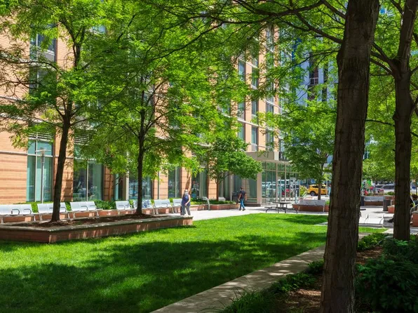 343 Gold Street image 30 of 35