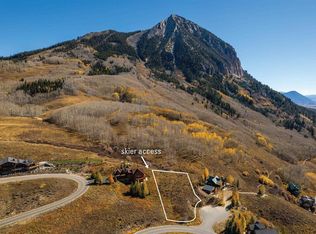1 Summit Ct, Crested Butte, CO 81225