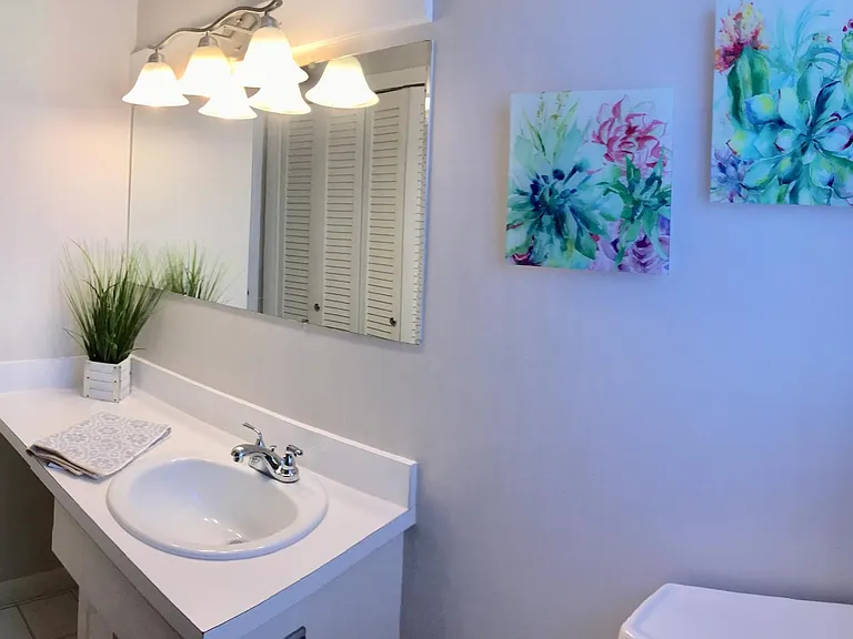View from inside full guest bathroom.