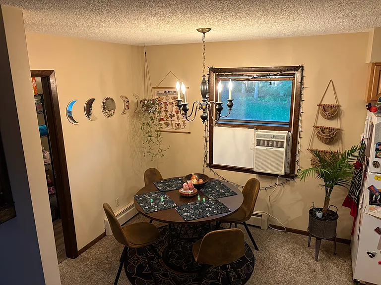 3209 Princeton Ct — Photo 9
