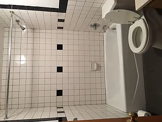 Rented by Peter Meskouris LREB