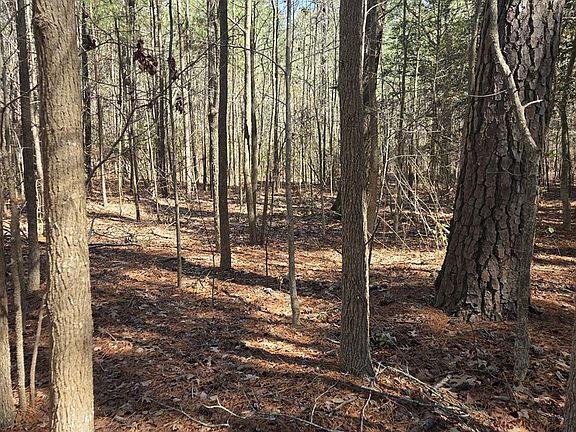 2nd image of 0 Holly Cove Rd Lot 13