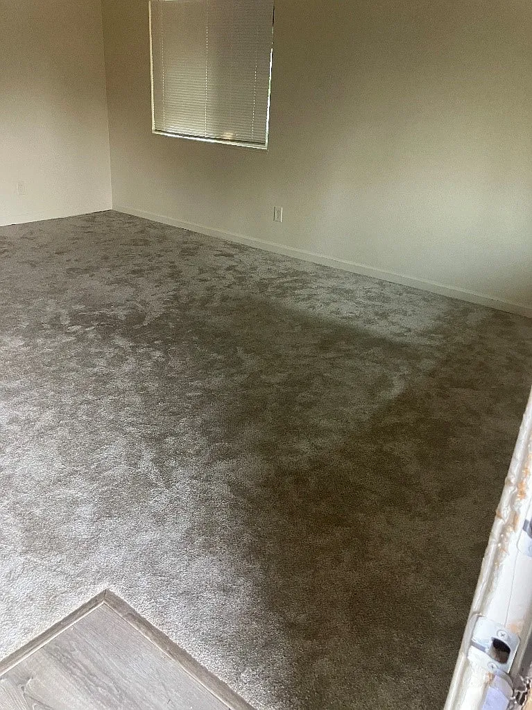 2 bed, 800 sqft, $1,325 — Photo 2