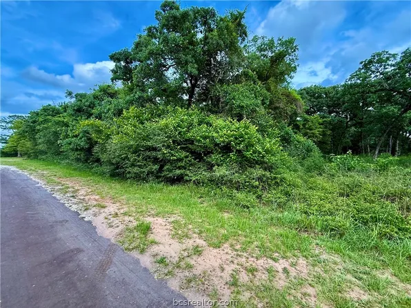 Jamaica Ln, Normangee, TX 77871