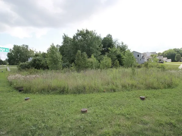 272 Victorridge Dr, Streetsboro, OH 44241