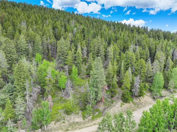 102 (Lot 35) Lodgepole Drive LOT 35, Evergreen, CO 80439