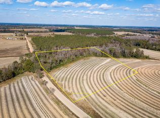 Sewell Rd, Cottonwood, AL 36320