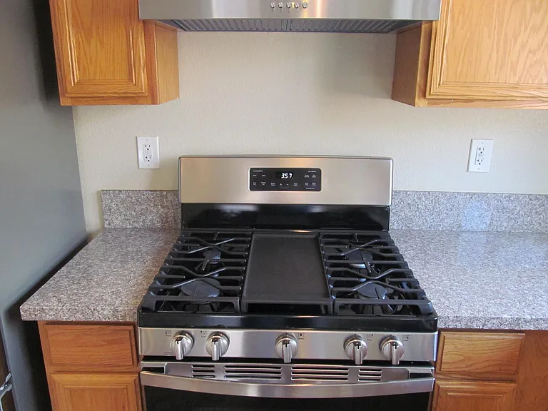 3336 Popcorn Flower St — Photo 11