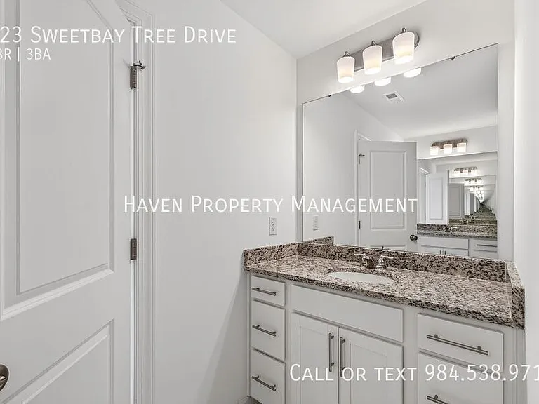 323 Sweetbay Tree Dr — Photo 20