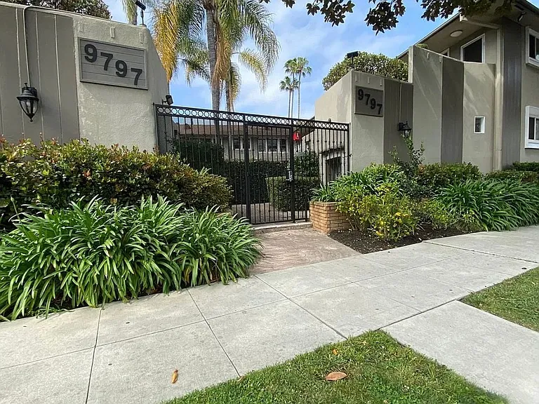 n9797 — Photo 19