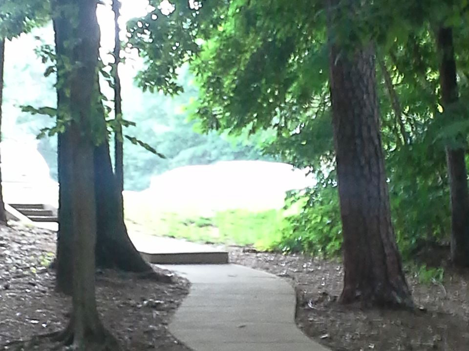 Path to parking lot/Lake Lynn trail next to Apartment