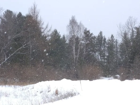 Wildcat Ct, Alpena, MI 49707