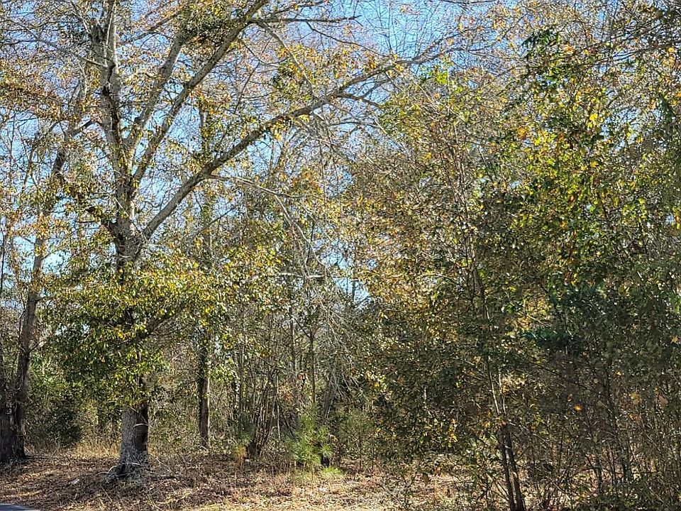 2nd image of 0 Barnwell Hwy
