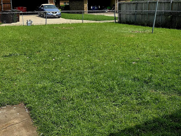 huge back yard