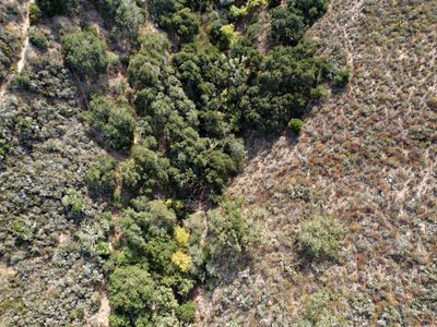 0 De Amaral Rd, Carmel Valley, CA, 93924