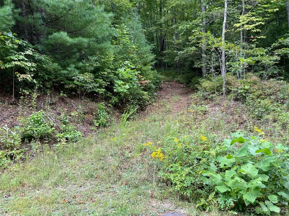 106 Green Hollow Ln, Brevard, NC 28712