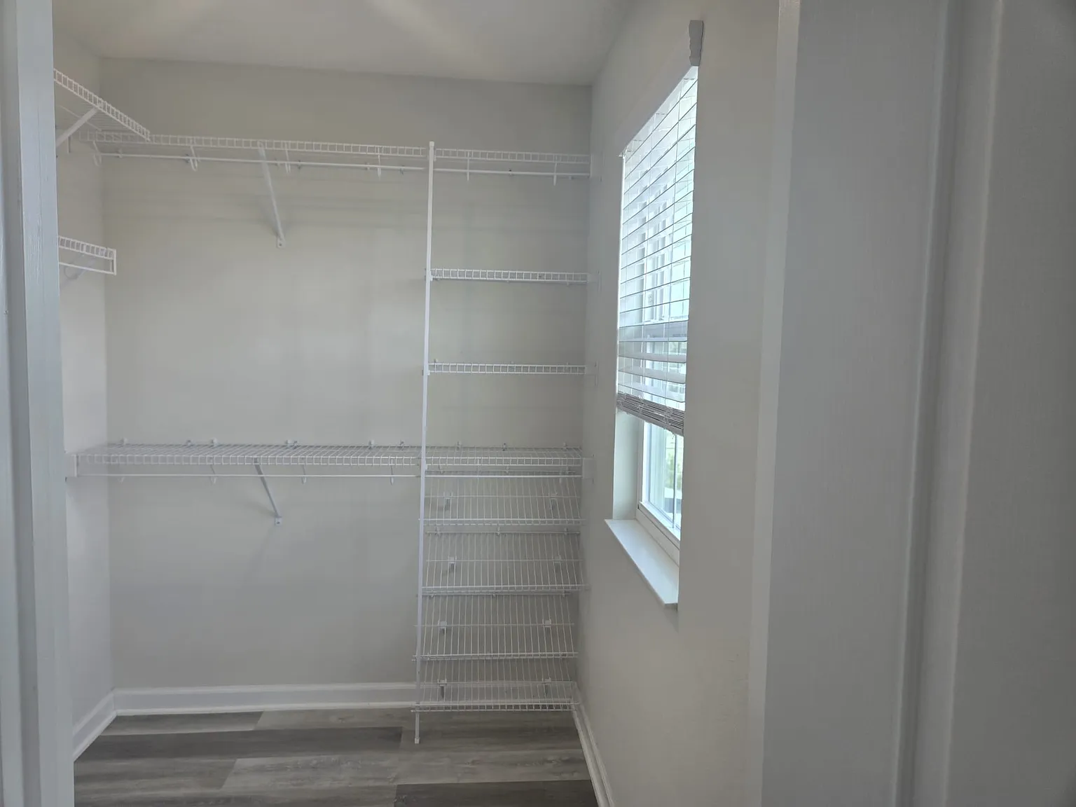 4 bed, 1769 sqft, $2,600 — Photo 3