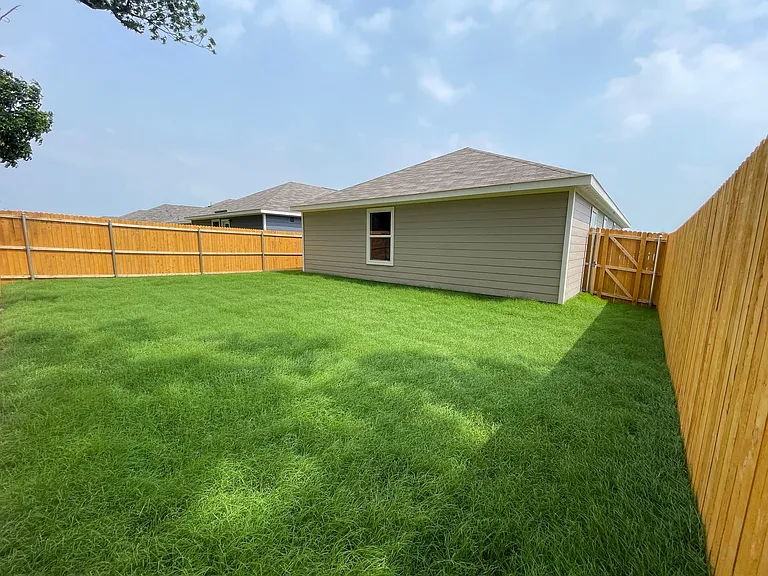 Backyard looking back at house