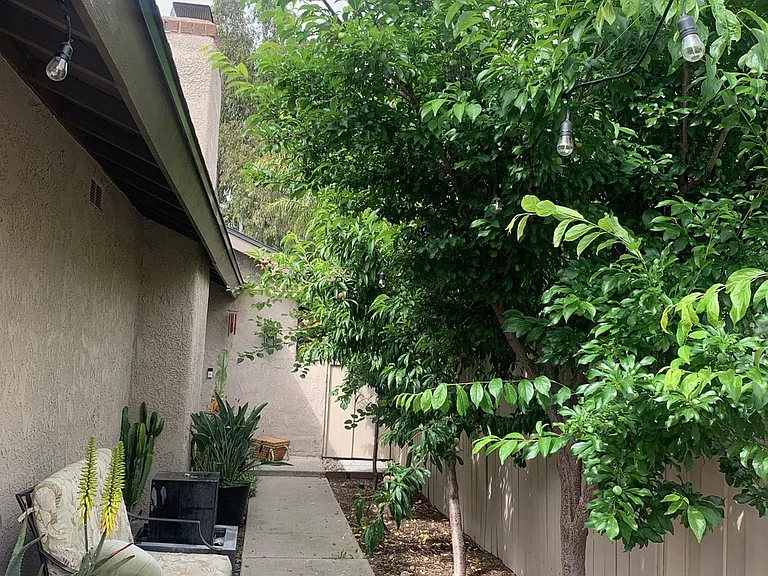 26551 Briarwood Ln — Photo 13