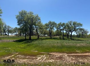 64 Camden Ln, Springtown, TX 76082