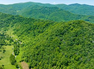 474 Sugar Hollow Rd, Roan Mountain, TN 37687