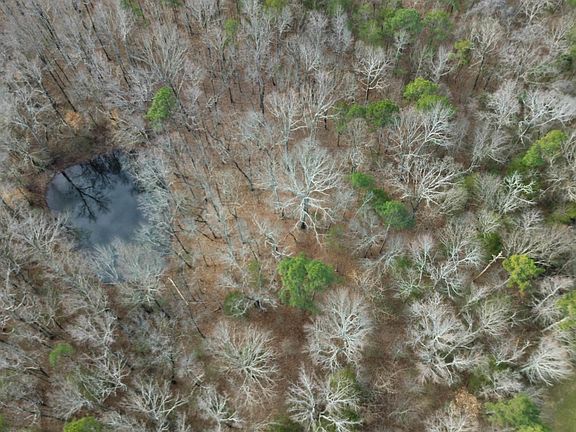 4th image of 17.46 Swearengin Rd