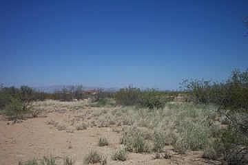 4th image of 53601 S Centennial Circle #10