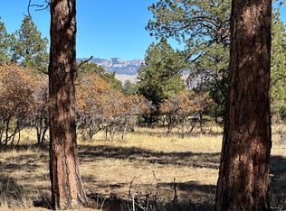 110 Puma Ln, Ridgway, CO 81432