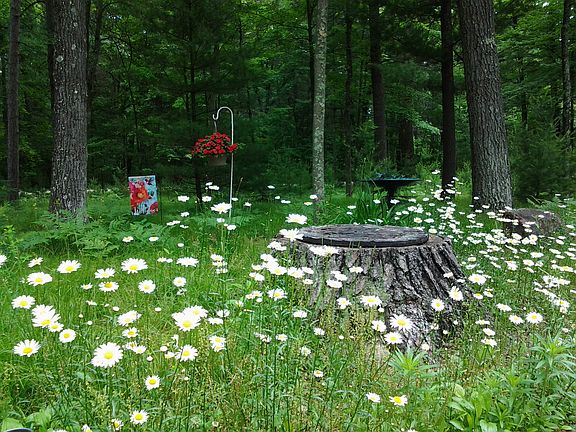 5th image of 4606 Brockhaus Ln