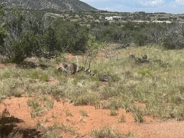 282 Star Meadow Rd, Placitas, NM 87043