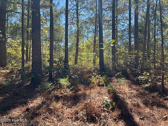 5th image of Lot 9 Jasper Davis Road