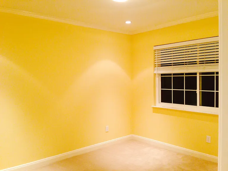Camelia Dr — Photo 8