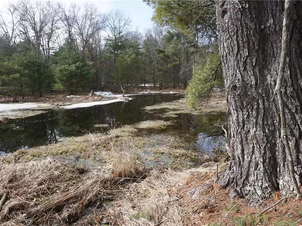 N9433 Buckhorn Drive, Hatfield, WI 54754