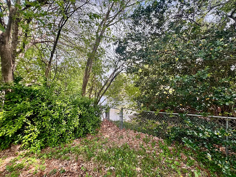 4409 Articles Ln — Photo 24