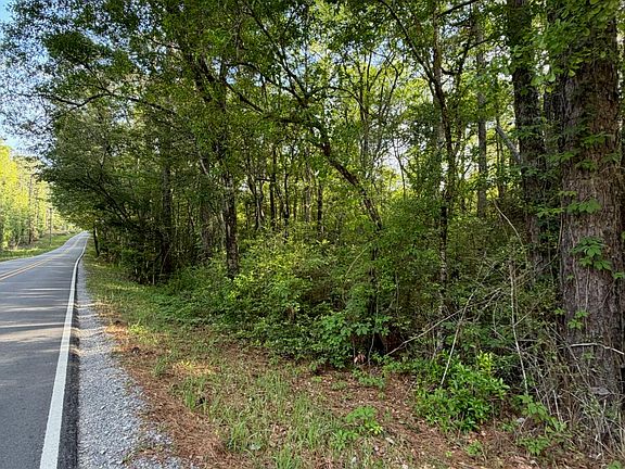 2nd image of State Line Rd