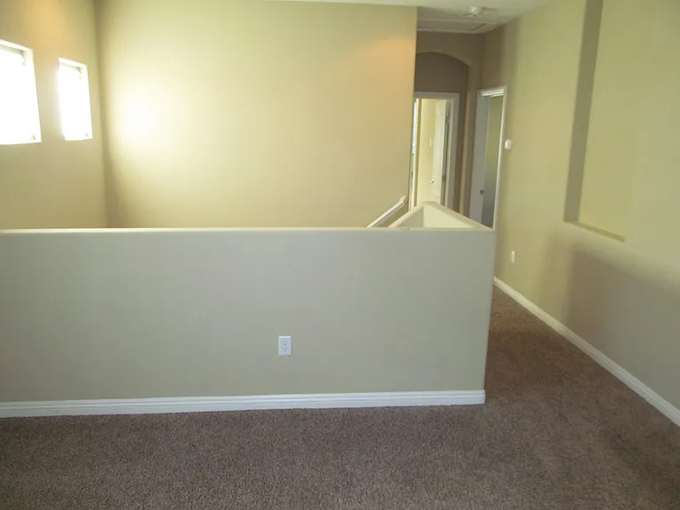 3711 Gilmore Creek St — Photo 19