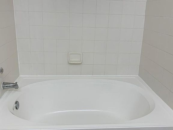 Master bathtub