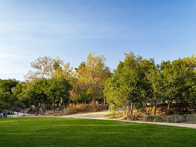 Walking paths and picnic areas at Vista Hermosa Natural Park