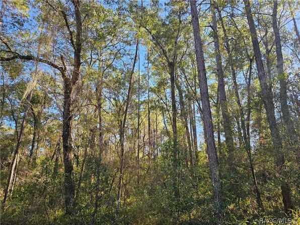 6342 E Glover St, Inverness, FL 34452